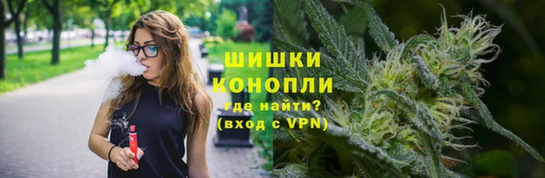 PSILOCYBIN Костерёво