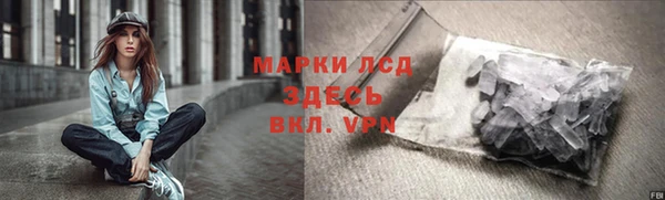 гашик Корсаков