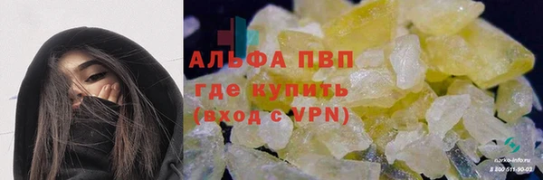 гашик Корсаков
