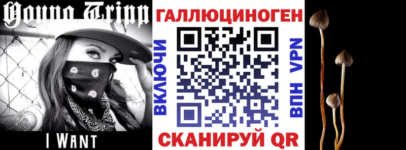 цена наркотик  Кириллов  Галлюциногенные грибы Cubensis 